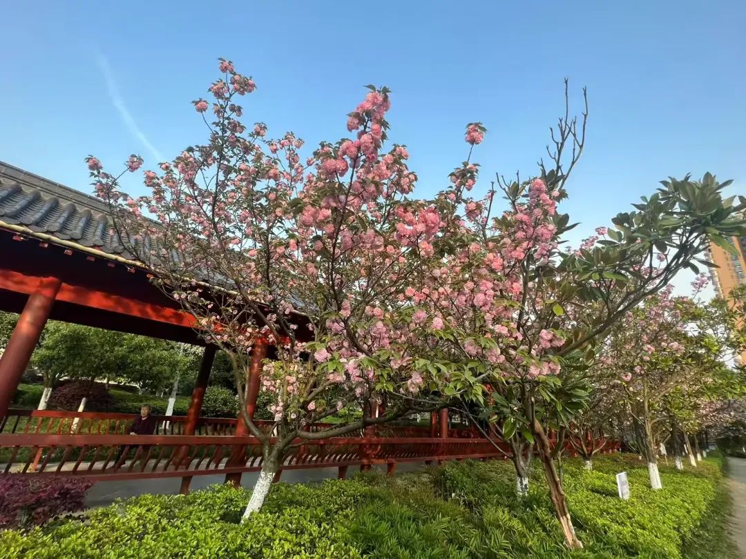 微信图片_20250401100512.jpg